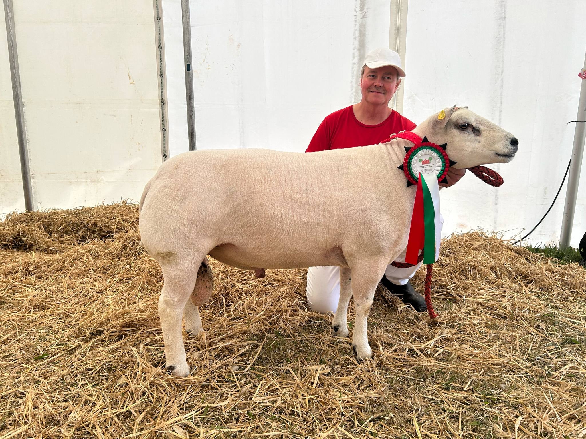 23 point og ærespræmie, Chr. nr. 24252-00581 Ejer: Niels-Jakob Korsvik