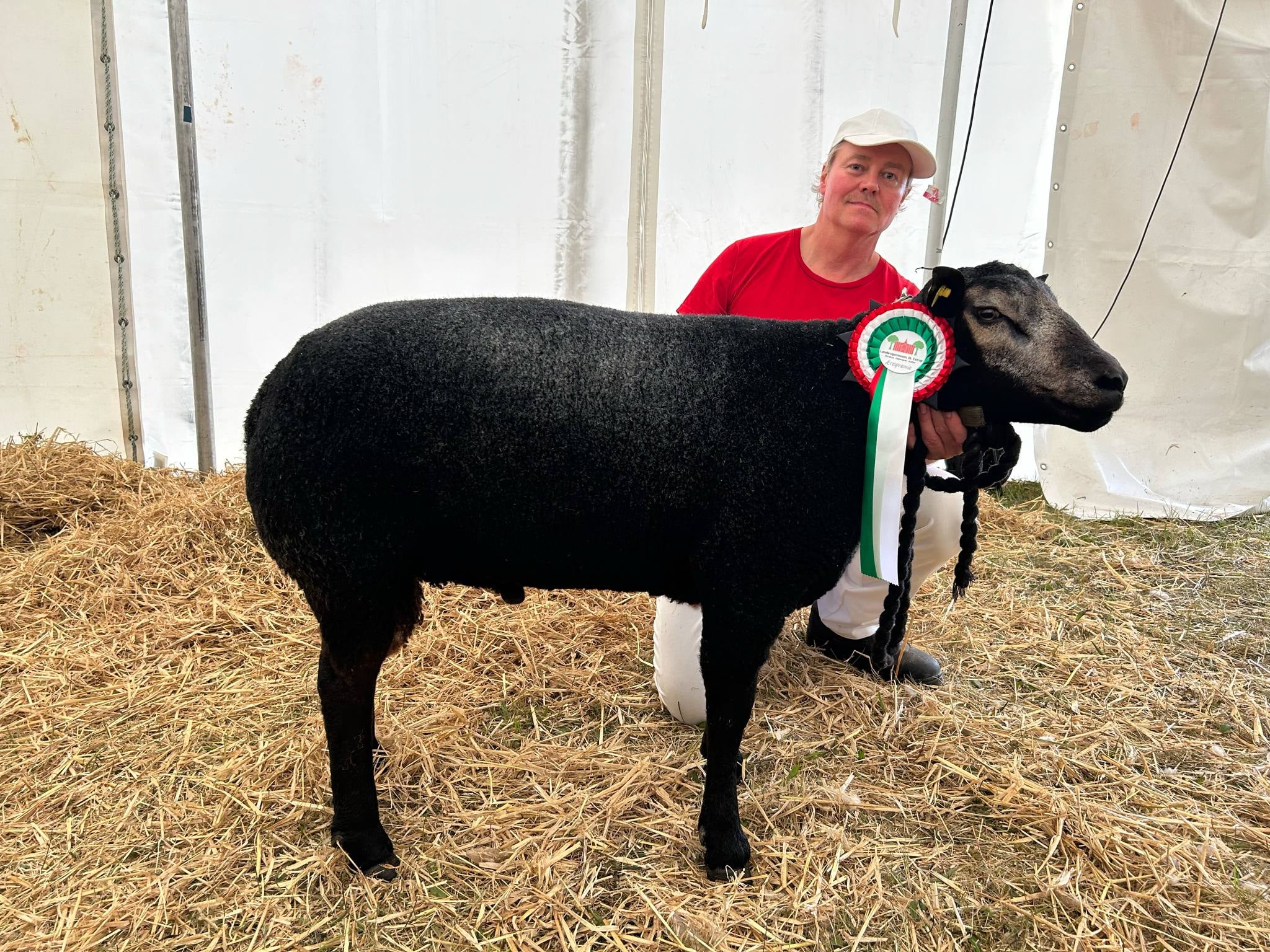 23 point og ærespræmie. Chr. nr. 24252-00590 Ejer: Niels-Jakob Korsvik