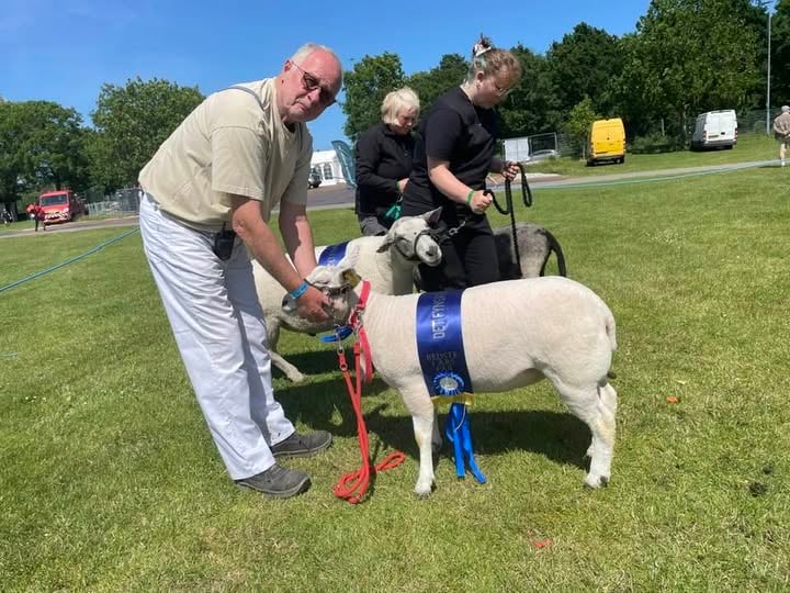 Det Fynske Dyrskue Det Fynske Dyrskue